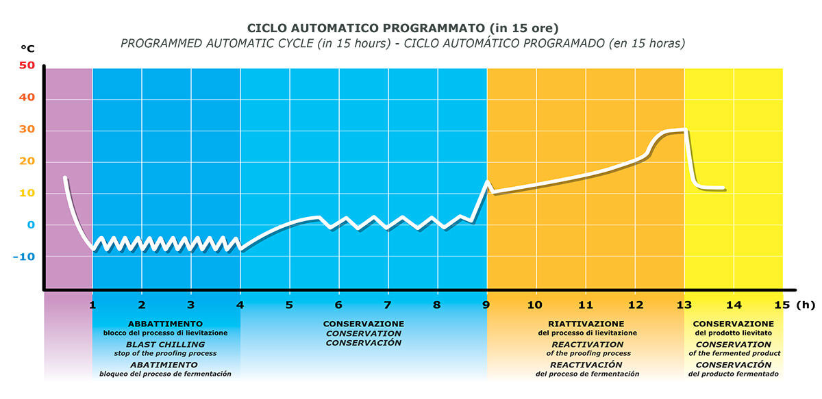 Programmed automatic cycle